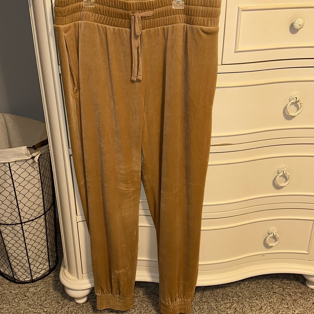 Express Velour Set - Picture 5 of 7
